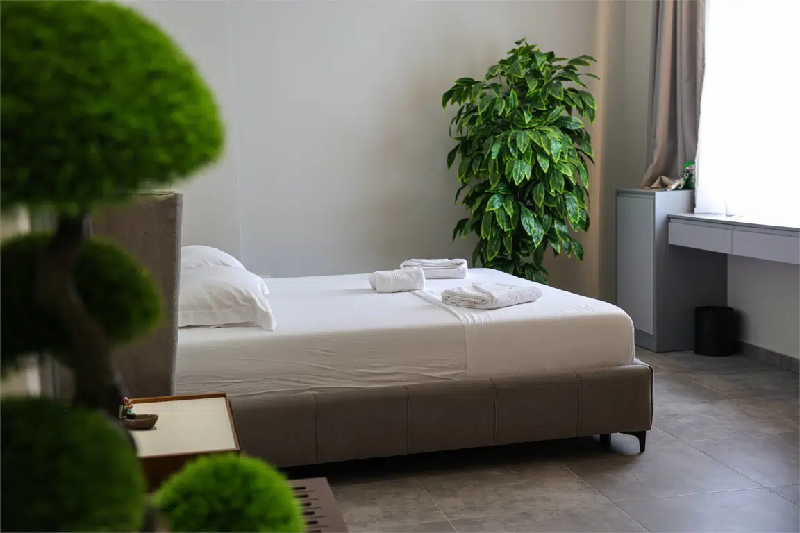 room image